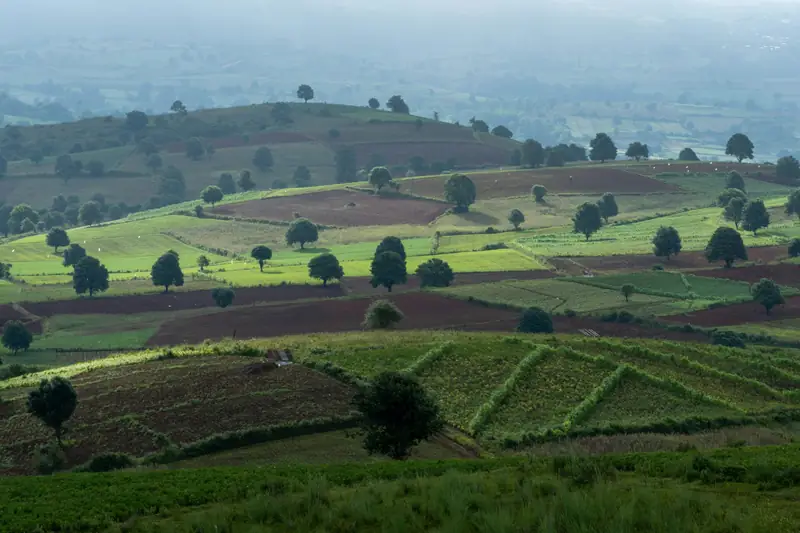 Smallholder fields patterned across hills